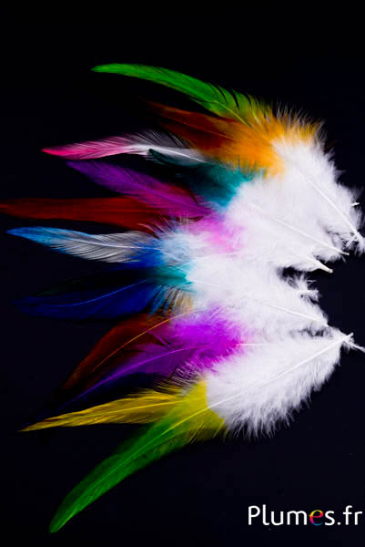 Coq - 11-15 cm - blanc-multicolore